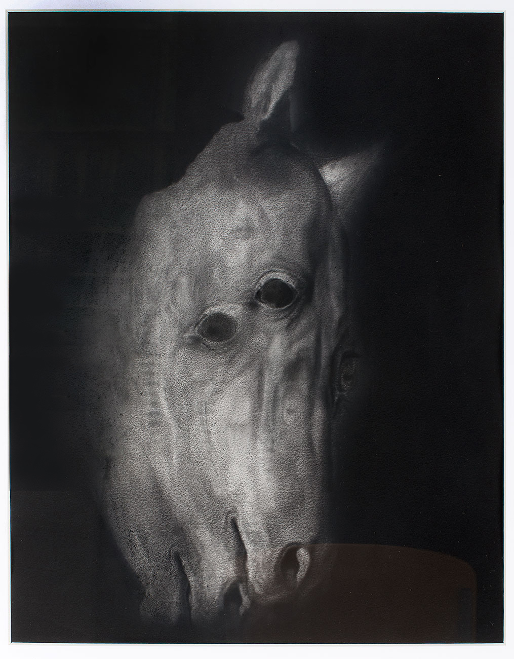 Drawing of a horse head